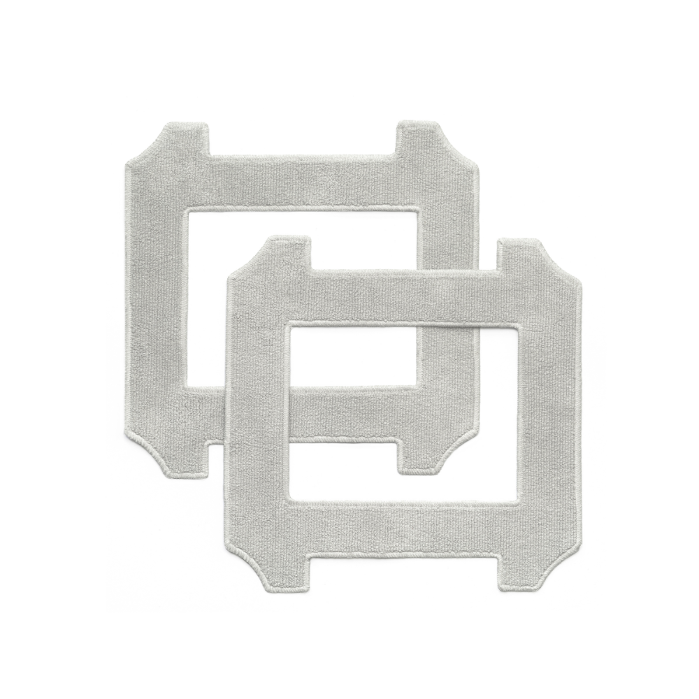 Wischlappen für Hauptgerät - 2 Stück   C1/C1 Station