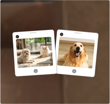 Dreame Aqua10 Ultra Roller Complete Haustier Finden und Fotos Funktion mit aufgenommenen Hundebildern